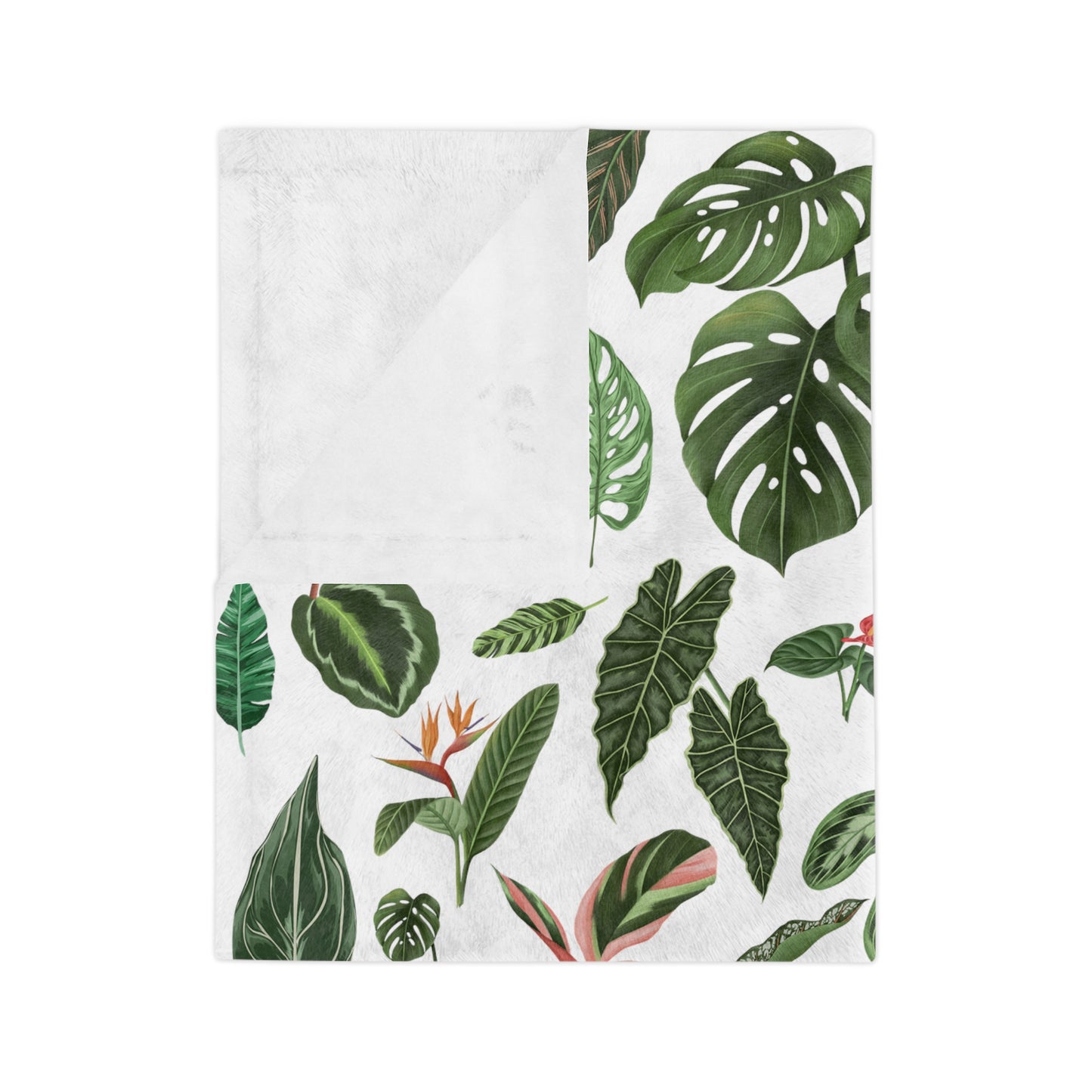 Plant blanket. Plant leaves Velveteen Plush Blanket