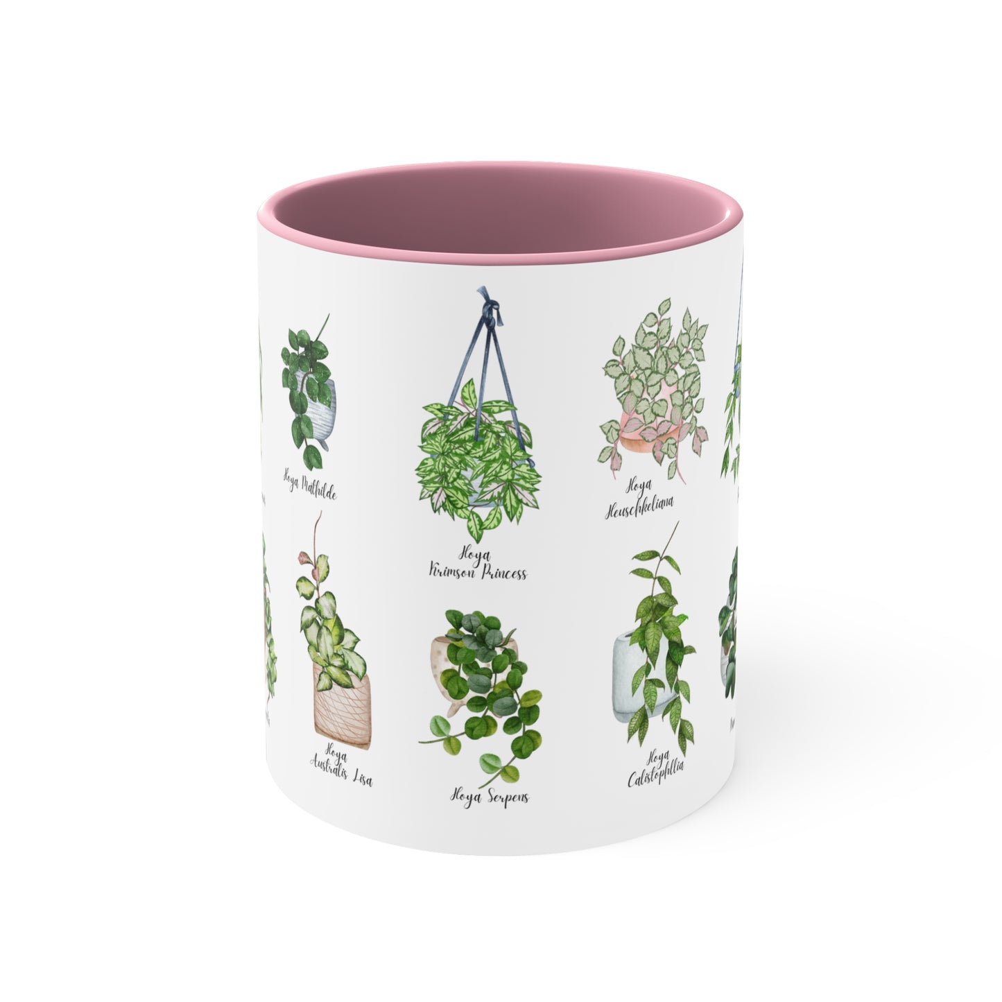Hoya plants coffee Ceramic Mug 11oz. Plant coffee for hoya plant lover. 14 differents hoya plants illustrations on black or pink coffee mug.