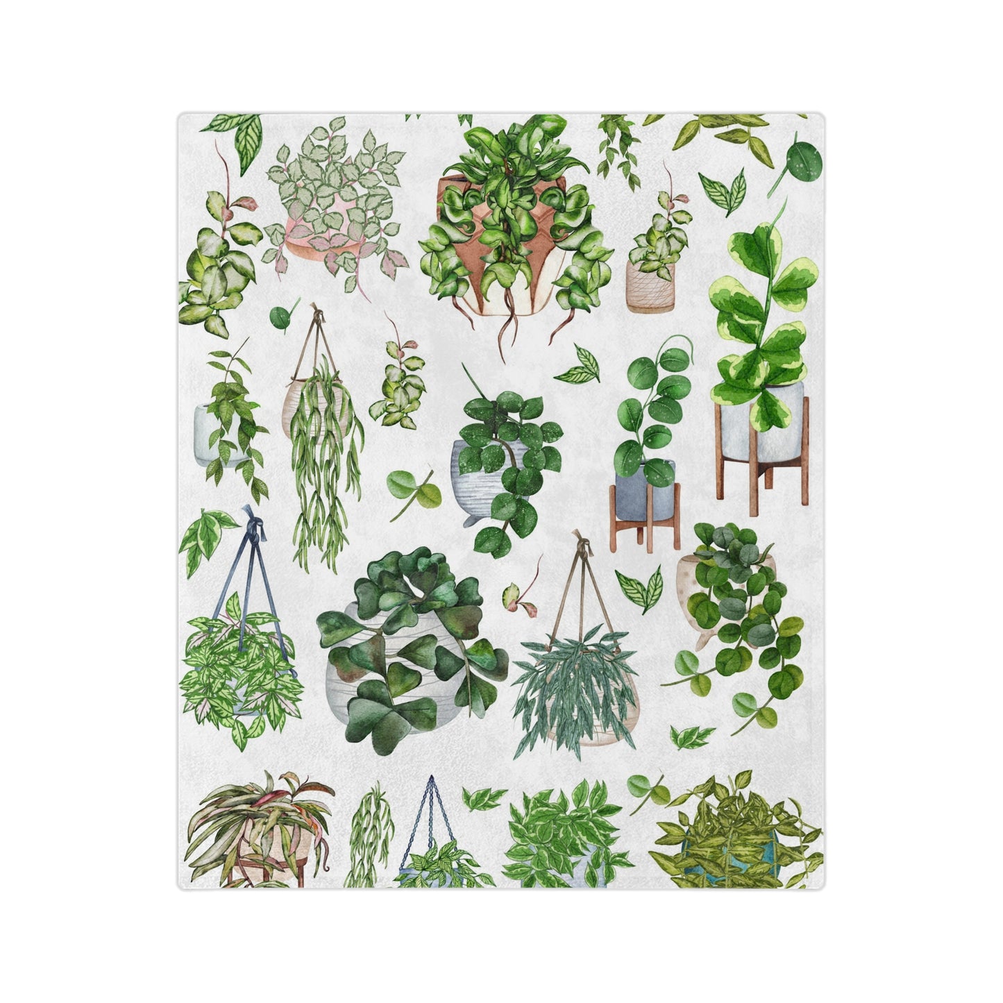 Hoya plant with pots Velveteen Minky Blanket for plant lady, plant mom or plant lover. House plants themed Christmas gift