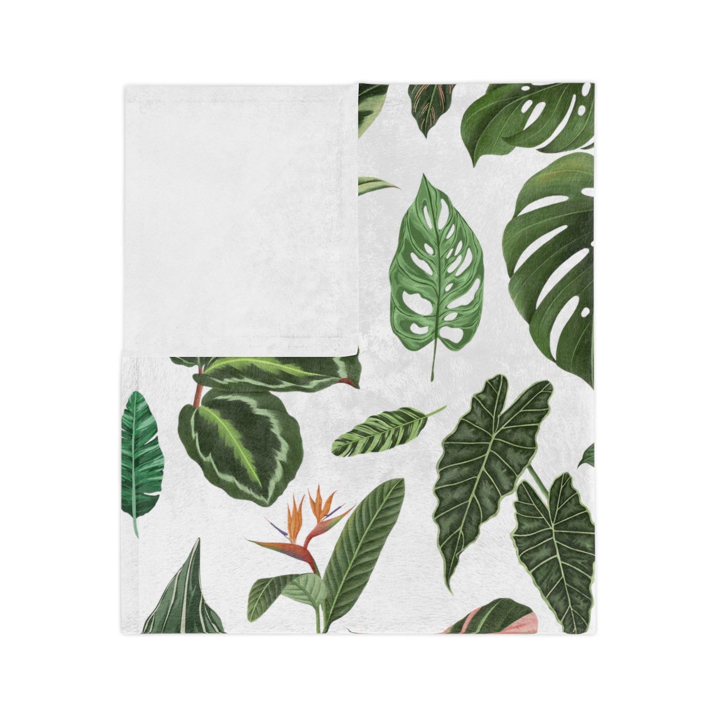 Plant blanket. Plant leaves Velveteen Plush Blanket