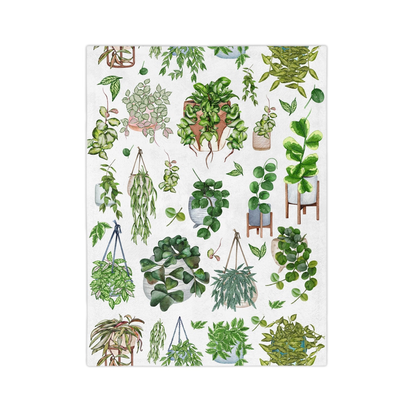 Hoya plant with pots Velveteen Minky Blanket for plant lady, plant mom or plant lover. House plants themed Christmas gift