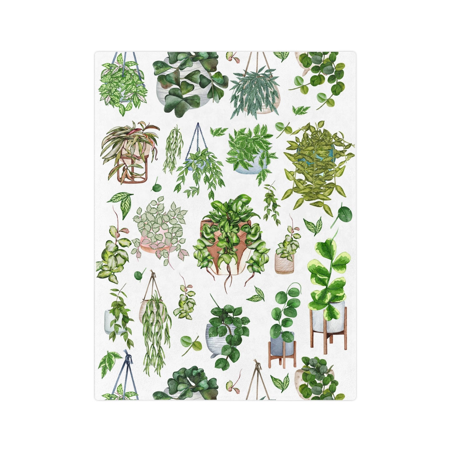 Hoya plant with pots Velveteen Minky Blanket for plant lady, plant mom or plant lover. House plants themed Christmas gift
