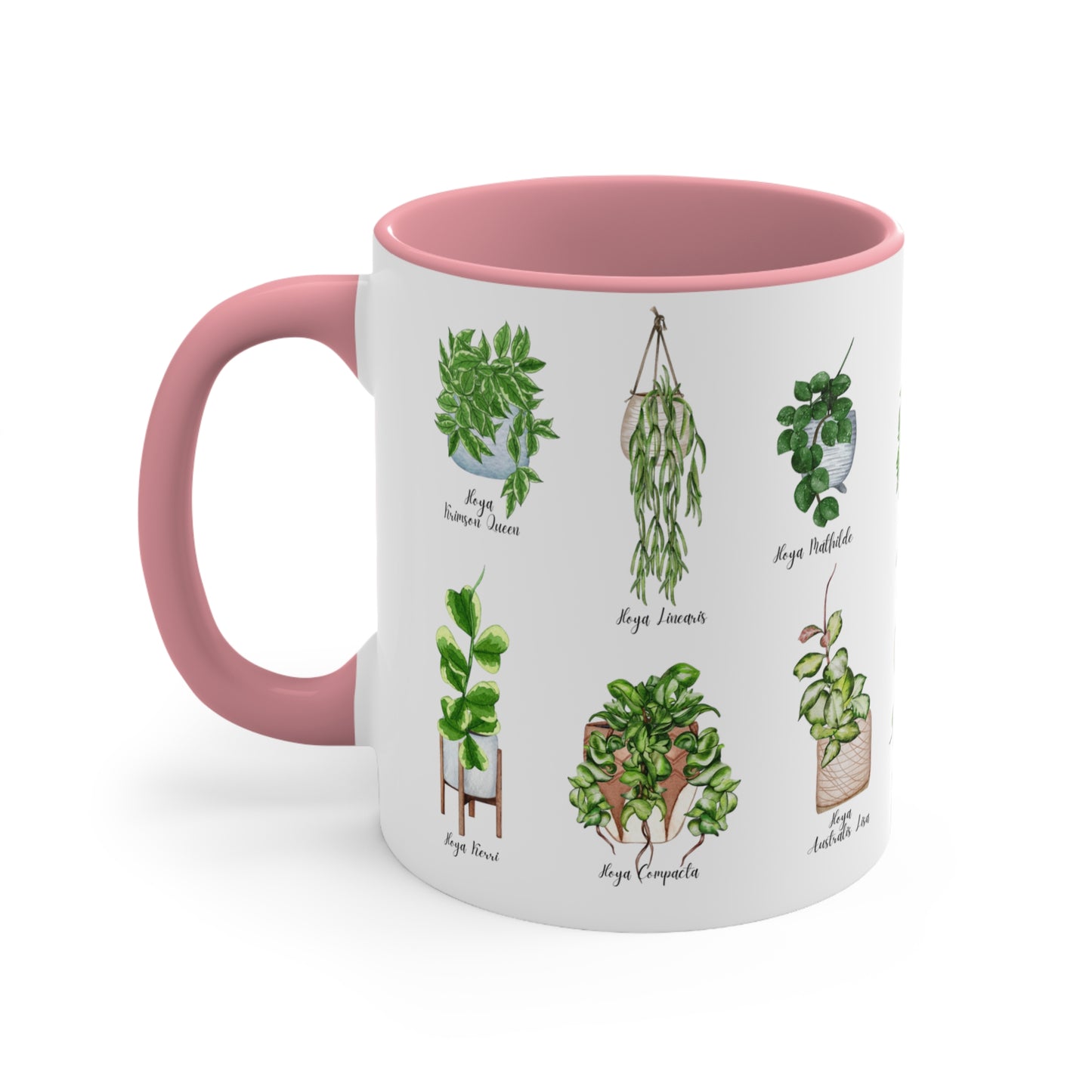 Hoya plants coffee Ceramic Mug 11oz. Plant coffee for hoya plant lover. 14 differents hoya plants illustrations on black or pink coffee mug.