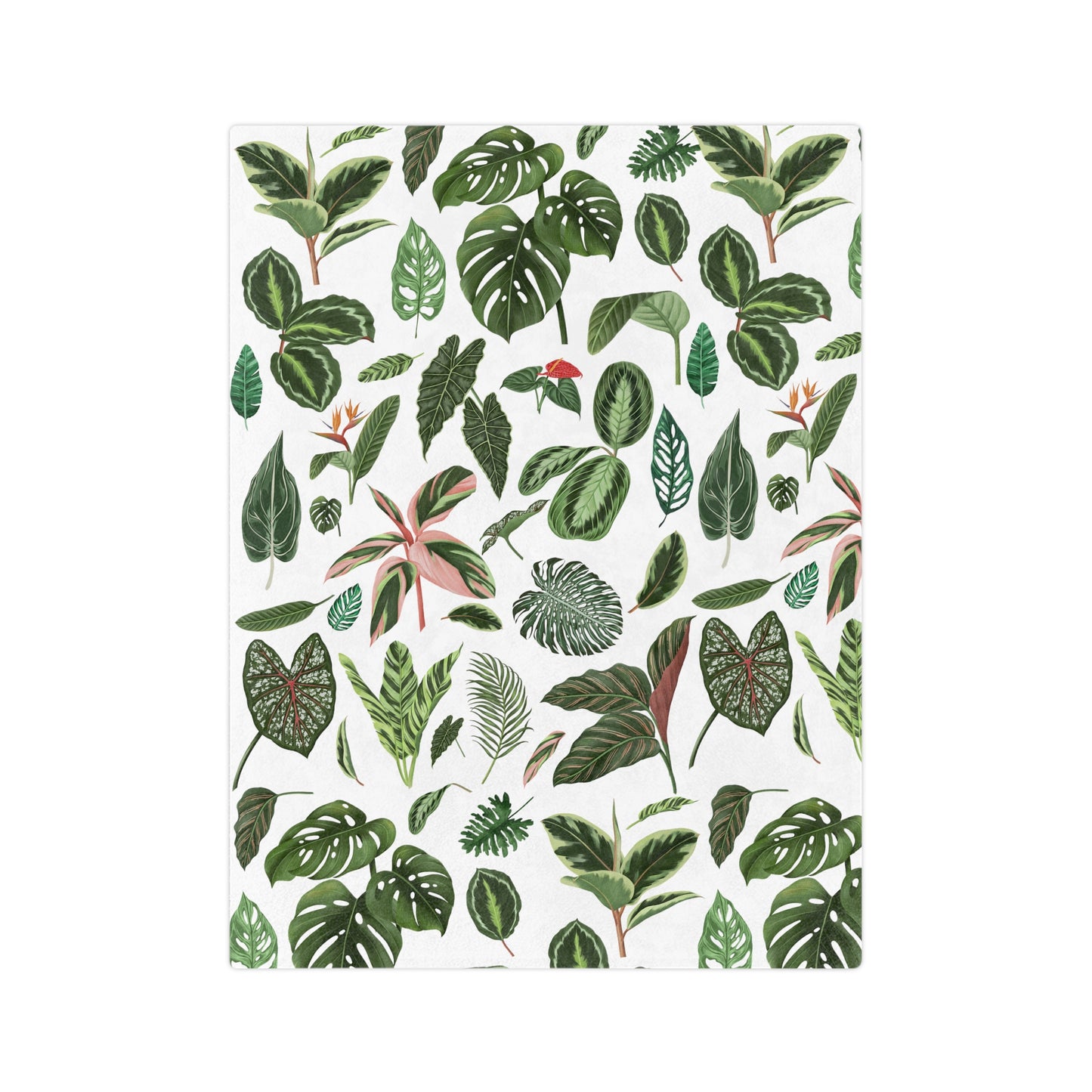 Plant blanket. Plant leaves Velveteen Plush Blanket