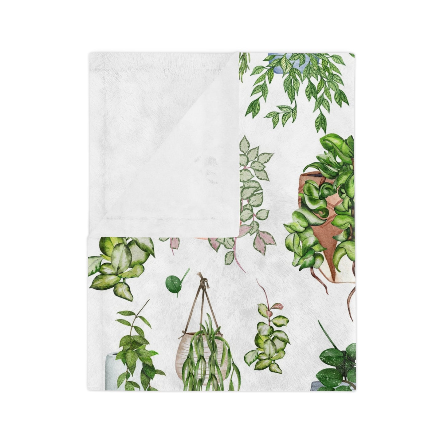 Hoya plant with pots Velveteen Minky Blanket for plant lady, plant mom or plant lover. House plants themed Christmas gift