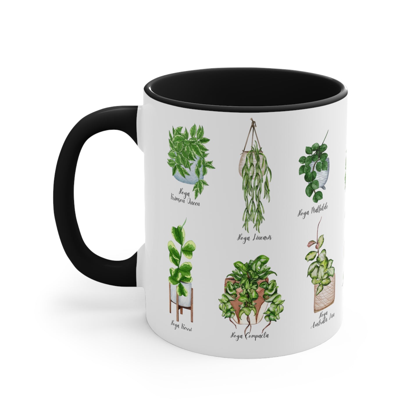Hoya plants coffee Ceramic Mug 11oz. Plant coffee for hoya plant lover. 14 differents hoya plants illustrations on black or pink coffee mug.