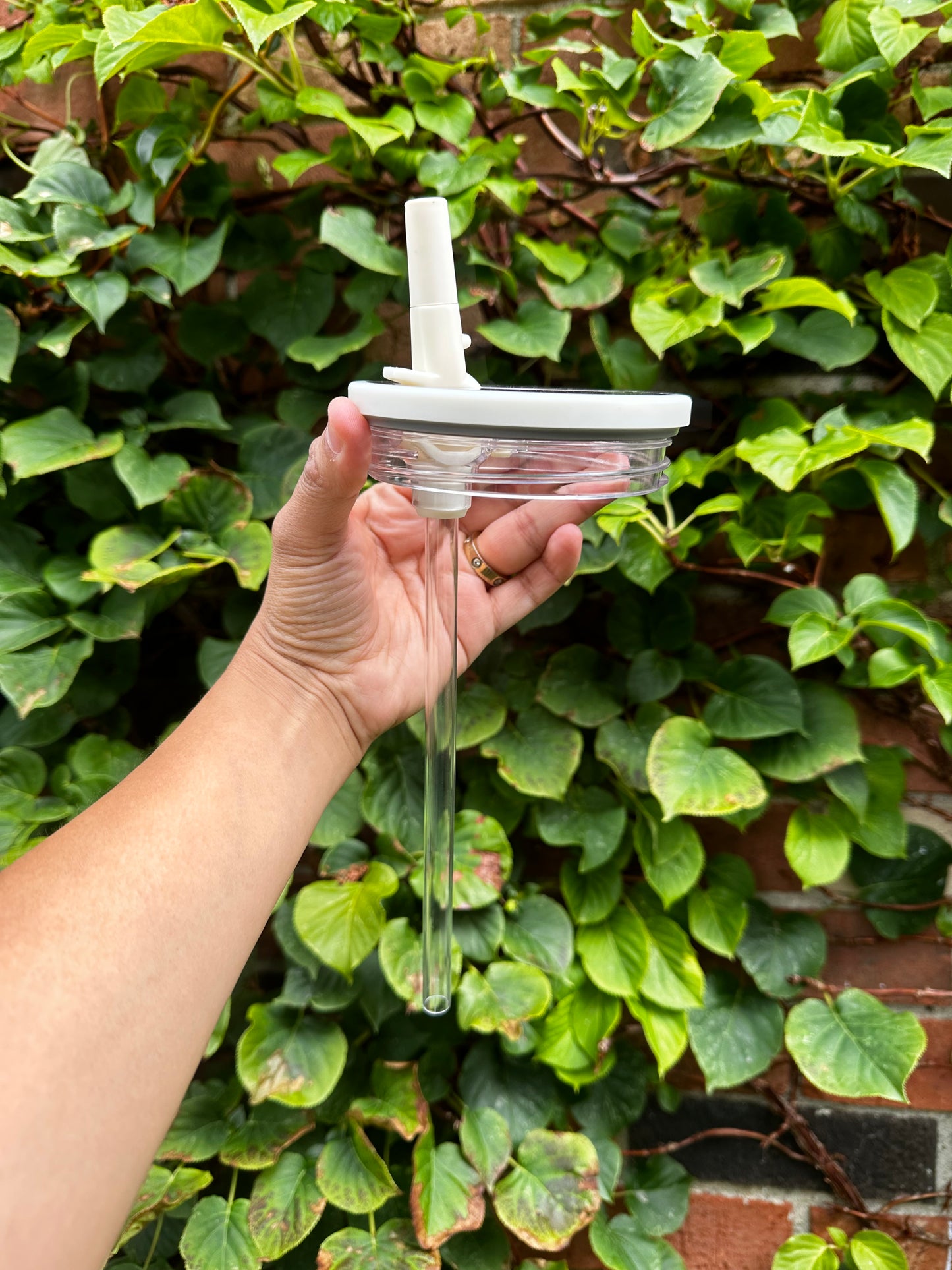 Ghosts holding Monstera Leaf 32 oz Tumbler with Flip Straw for Halloween season and plant lover - Drinkware - Bottle