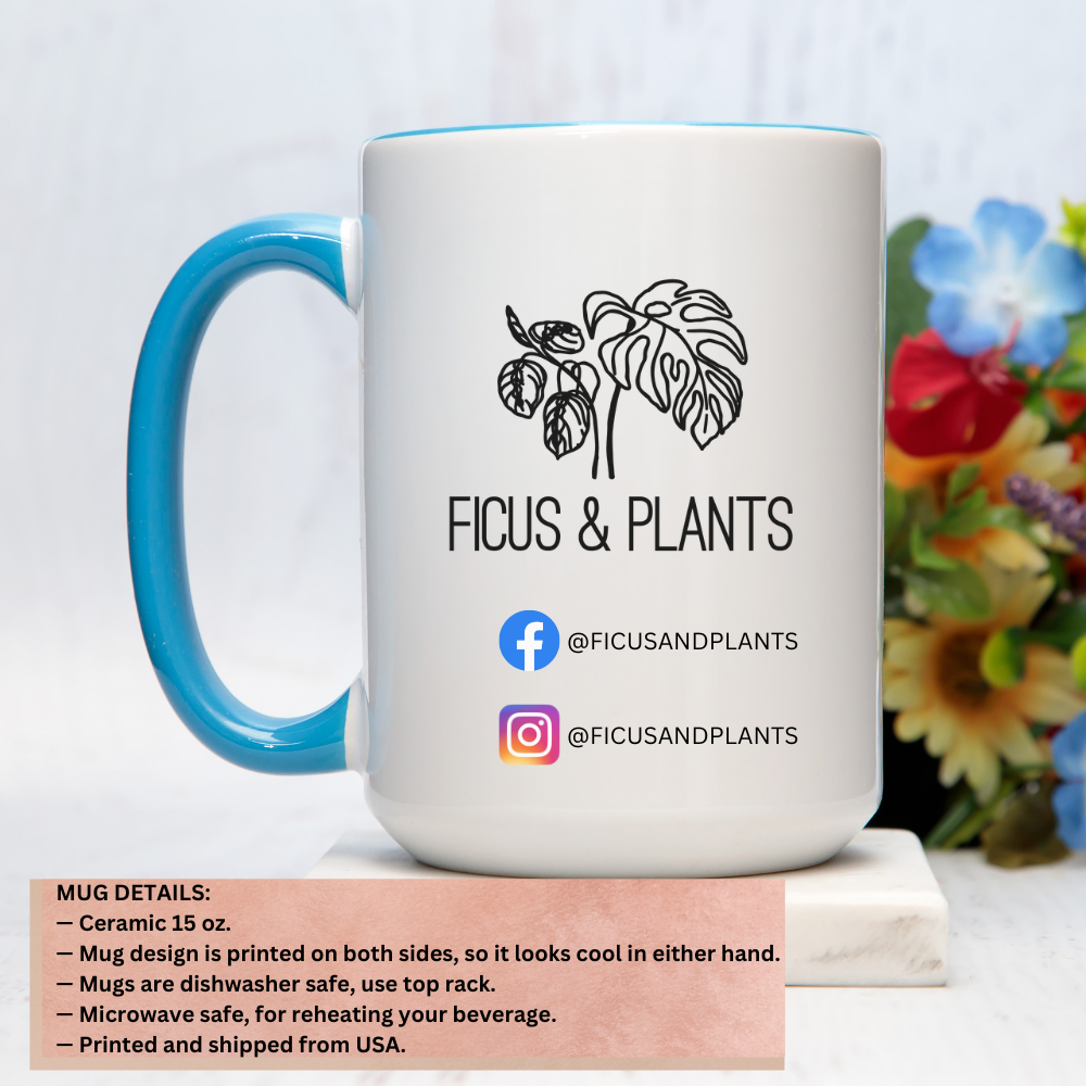 Funny Mexican Coffee Mugs, 15oz for Mexican mom. En la casa hay frijoles mug for Mothers Day, birthday day or dia de las madres