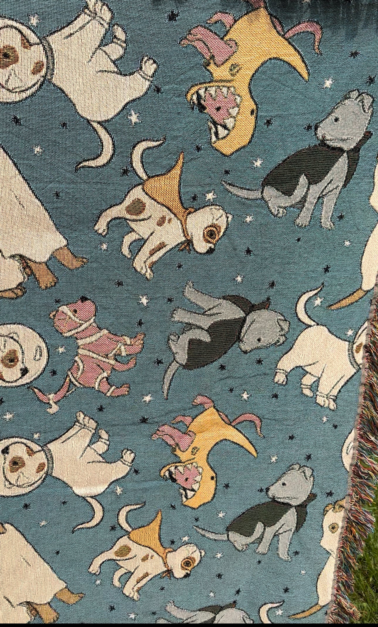 Dogs with Halloween costume woven blanket 50x60”