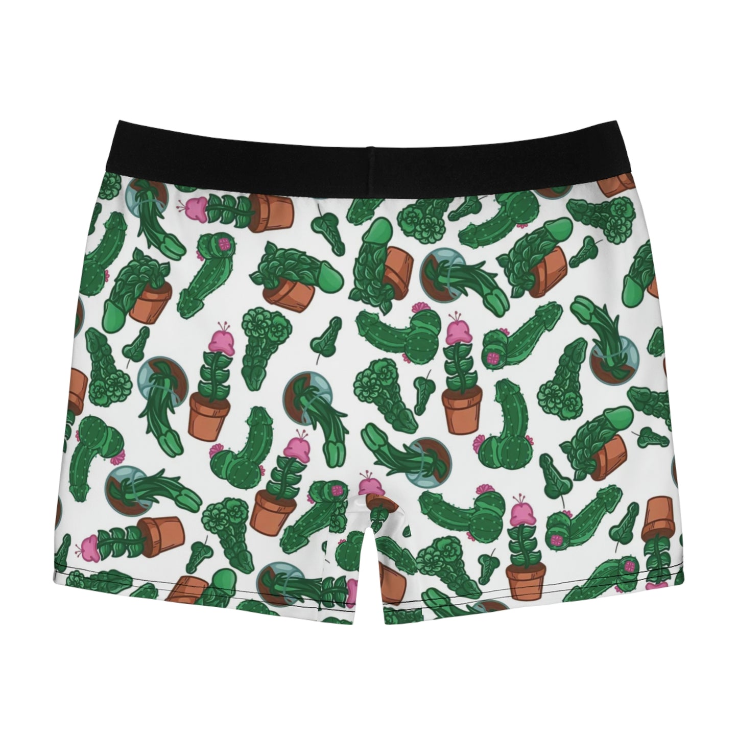 Sassy cactus Men's Boxer Briefs
