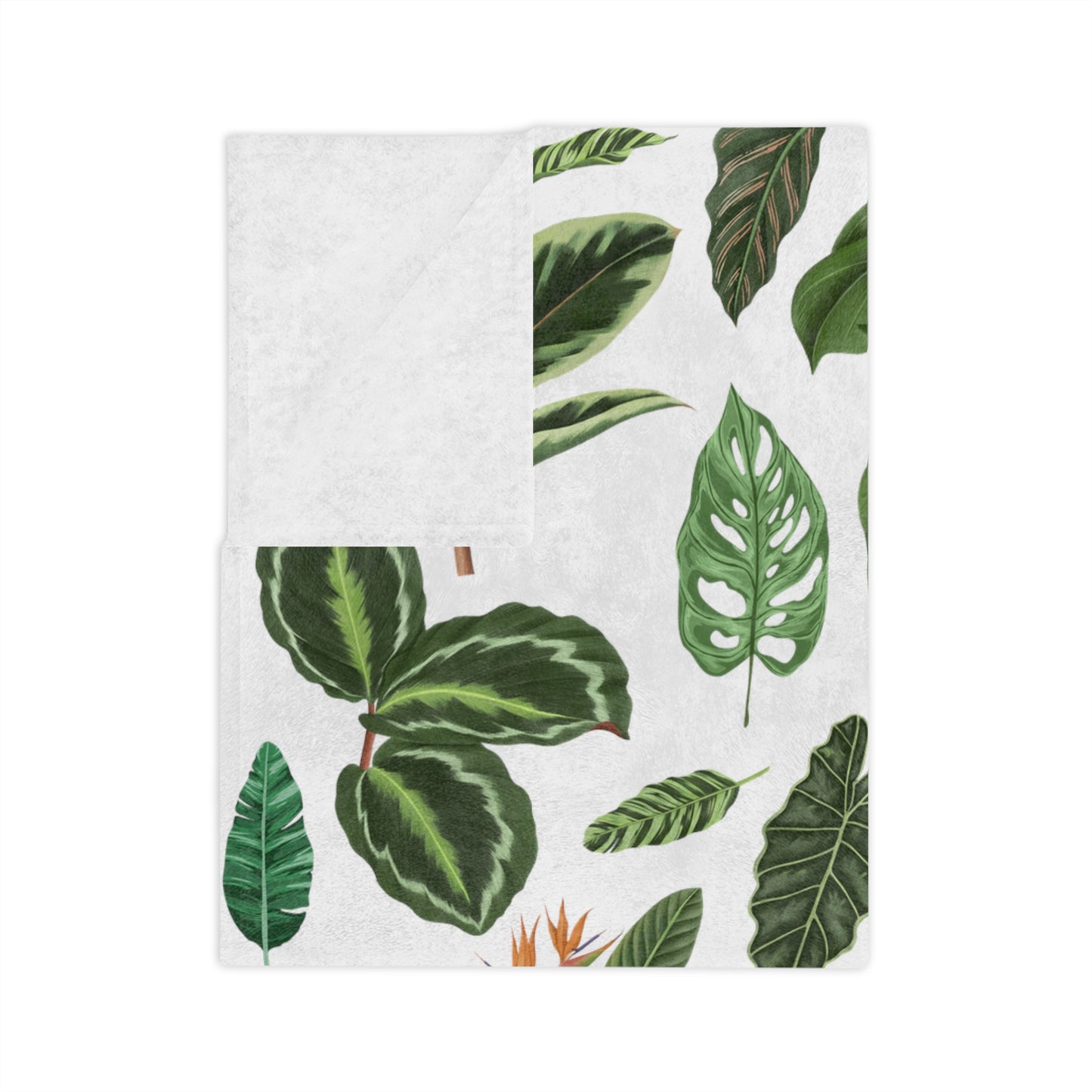 Plant blanket. Plant leaves Velveteen Plush Blanket