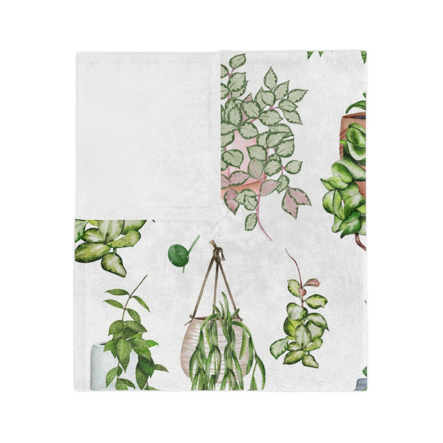 Hoya plant with pots Velveteen Minky Blanket for plant lady, plant mom or plant lover. House plants themed Christmas gift