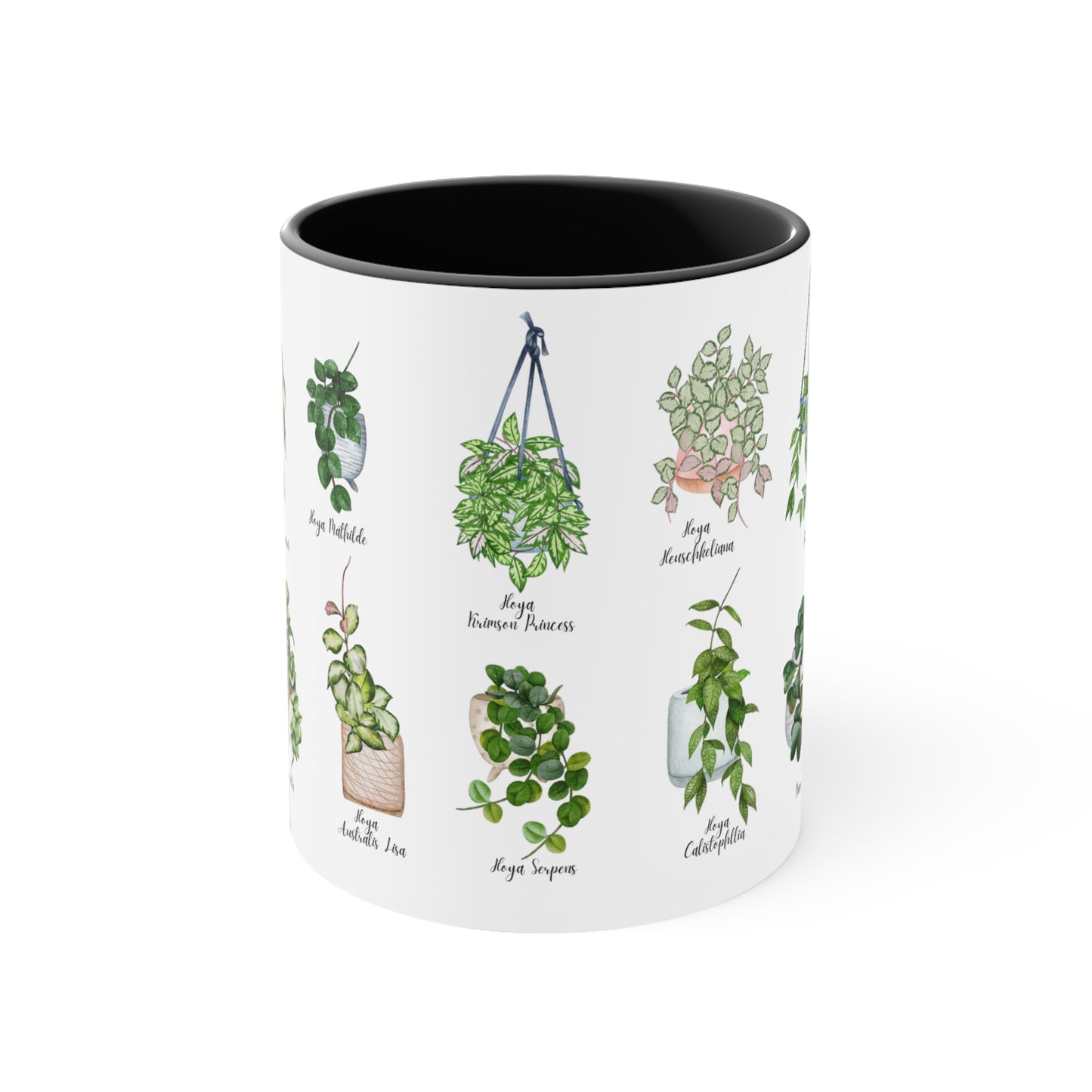 Hoya plants coffee Ceramic Mug 11oz. Plant coffee for hoya plant lover. 14 differents  hoya plants illustrations on black or pink coffee mug.