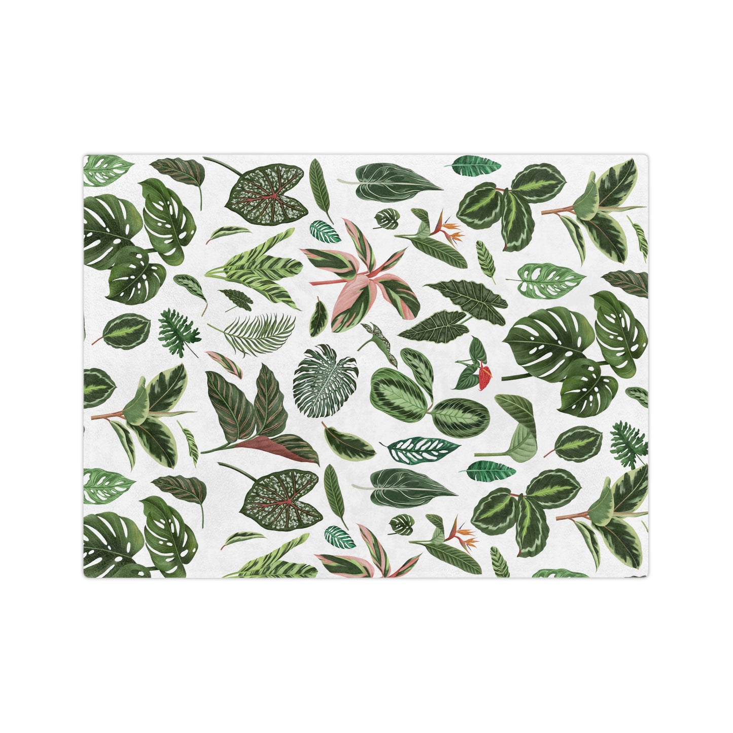 Plant blanket. Plant leaves Velveteen Plush Blanket