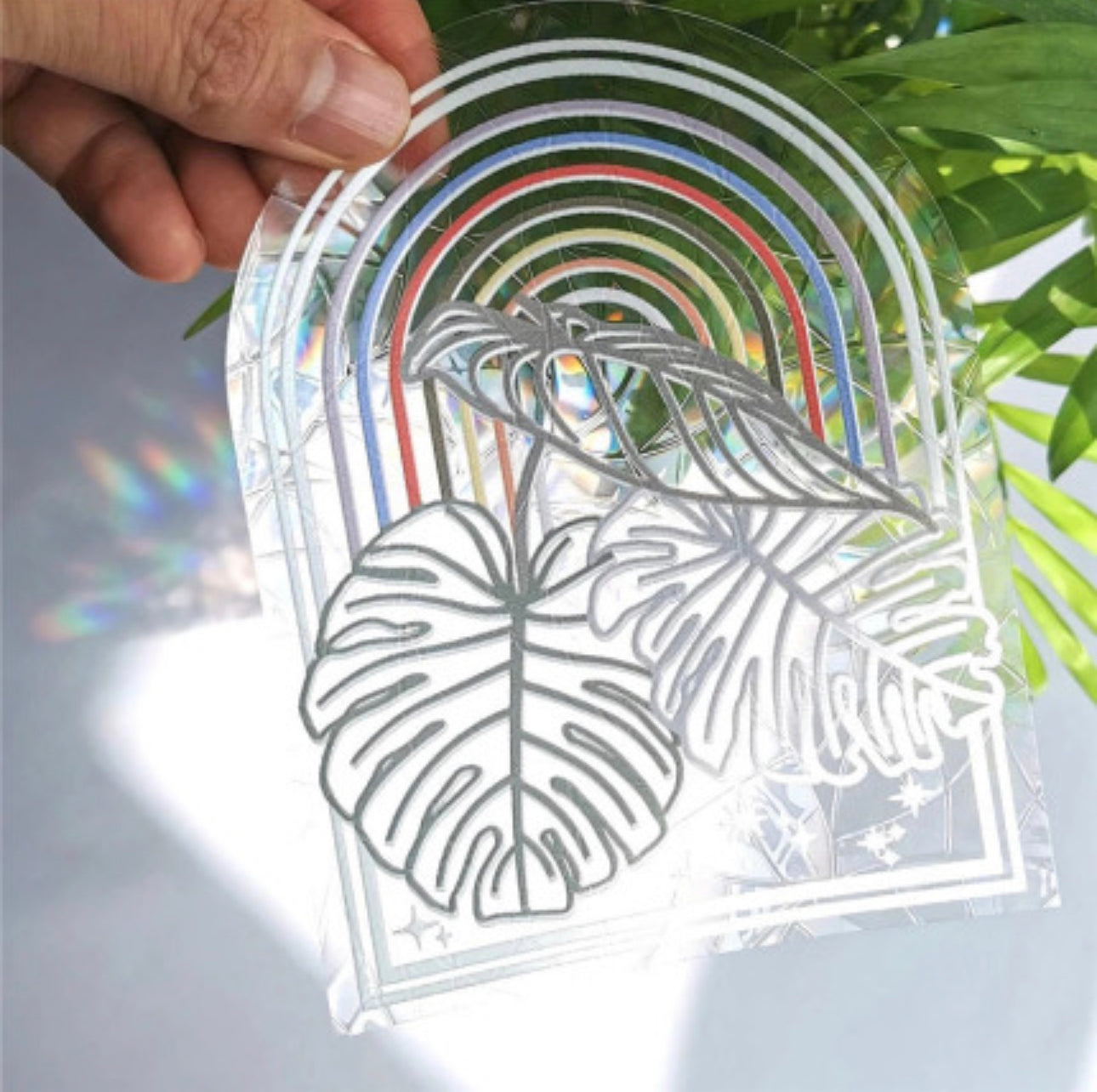 Monstera suncatcher sticker – Ficus & Plants